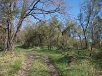 anobello-01042012 040
